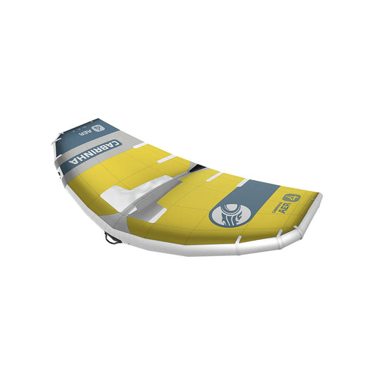 Aer C2 Yellow / Petrol Blue 2025